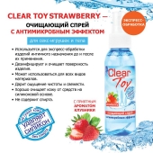 Очищающий спрей для игрушек CLEAR TOY Strawberry - 100 мл. - Биоритм - купить с доставкой в Мытищах