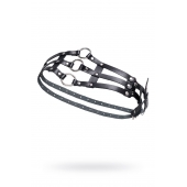 Черный кожаный пояс с кольцами - Pecado - купить с доставкой в Мытищах