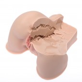 Мастурбатор-полуторс Naked Factory Kate - Naked Factory - в Мытищах купить с доставкой