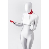 Красный ошейник с подкладкой из меха - ToyFa - купить с доставкой в Мытищах