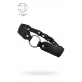 Черный кожаный чокер-ошейник со скруглёнными углами - Pecado - купить с доставкой в Мытищах