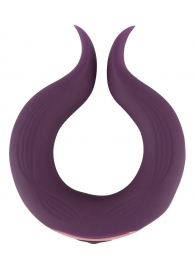 Вибратор для пар Two Motors Couple’s Ring в форме кольца - Orion - в Мытищах купить с доставкой