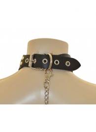 Ошейник  Веселый Роджер - Sitabella - купить с доставкой в Мытищах