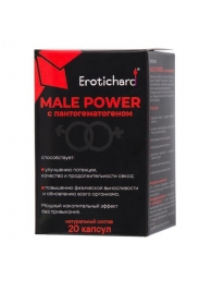 Капсулы для мужчин Erotichard male power с пантогематогеном - 20 капсул (0,370 гр.) - Erotic Hard - купить с доставкой в Мытищах