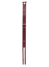 Бордовый ремень Halo Waist Belt - размер L-XL - Shots Media BV - купить с доставкой в Мытищах