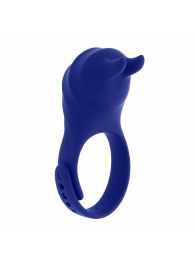 Синее эрекционное виброкольцо с клиторальной подушечкой и пультом ДУ Adjustable Fun Ring - Zero Tolerance - в Мытищах купить с доставкой