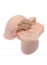 Мастурбатор-полуторс Naked Factory Kate - Naked Factory - в Мытищах купить с доставкой