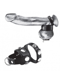 Утяжка для мошонки и пениса Cock Ring With 1  Ball Stretcher And Optional Weight Ring - BlueLine - купить с доставкой в Мытищах