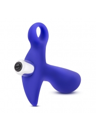 Синий стимулятор простаты с ручкой-кольцом Performance Prostimulator 02 - Blush Novelties - в Мытищах купить с доставкой