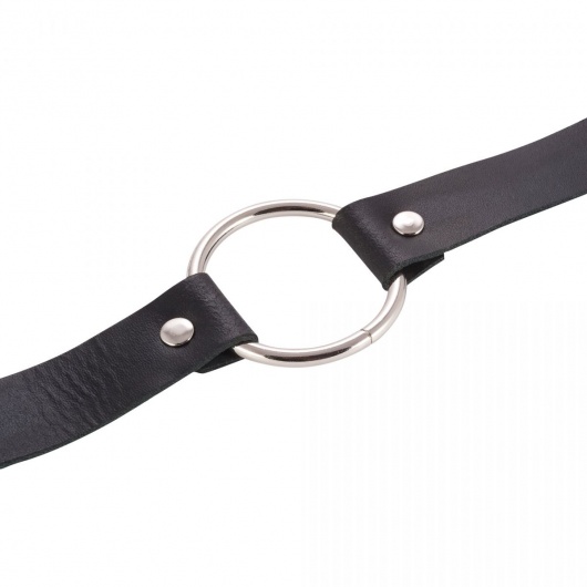 Черный поводок и чокер с кольцом Rada - Rebelts - купить с доставкой в Мытищах