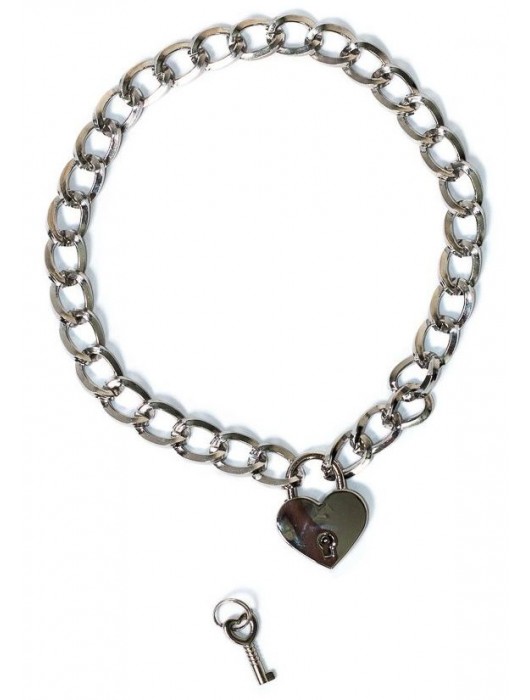 Серебристый ошейник Embrace с ключиком - Lola Games - купить с доставкой в Мытищах