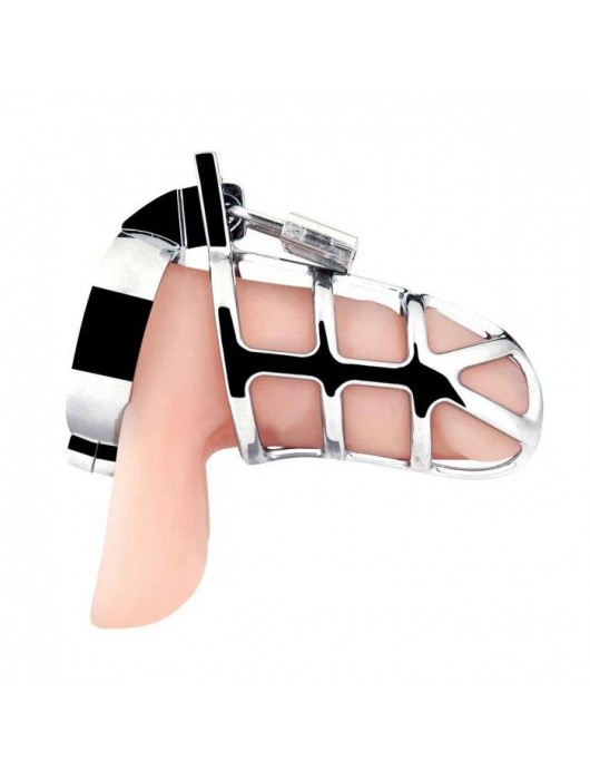 Серебристая металлическая клетка для члена с замком Enslave Cock Cage - BlueLine - купить с доставкой в Мытищах