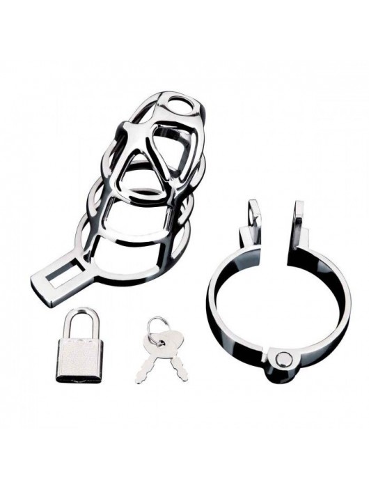 Серебристая металлическая клетка для члена с замком Enslave Cock Cage - BlueLine - купить с доставкой в Мытищах