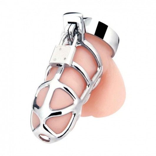 Серебристая металлическая клетка для члена с замком Enslave Cock Cage - BlueLine - купить с доставкой в Мытищах