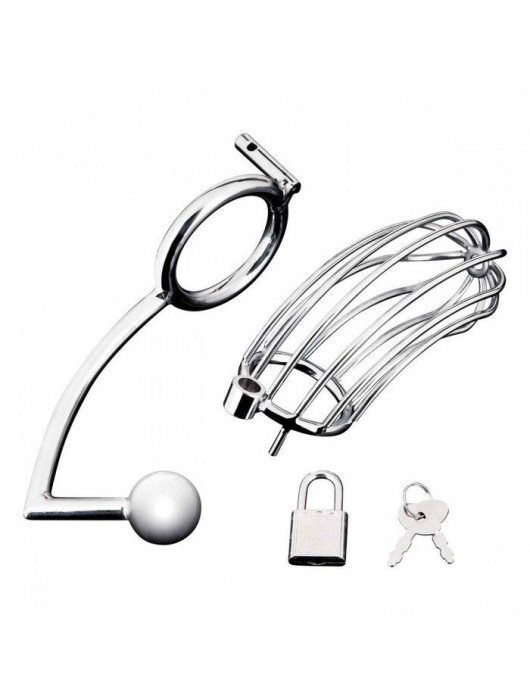 Серебристая металлическая клетка с анальным стимулятором Cock Cage - BlueLine - купить с доставкой в Мытищах