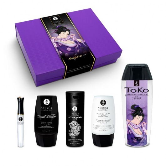 Подарочный набор Naughter Kit - Shunga - купить с доставкой в Мытищах