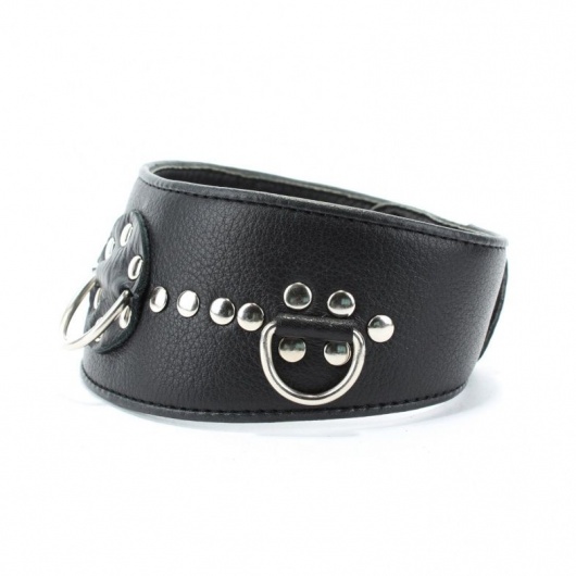 Чёрный кожаный ошейник с полукольцами и клёпками - БДСМ Арсенал - купить с доставкой в Мытищах