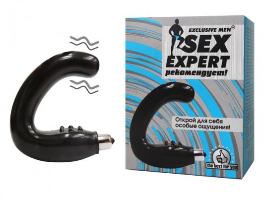 Чёрный массажёр простаты серии Sex Expert - Sex Expert - в Мытищах купить с доставкой