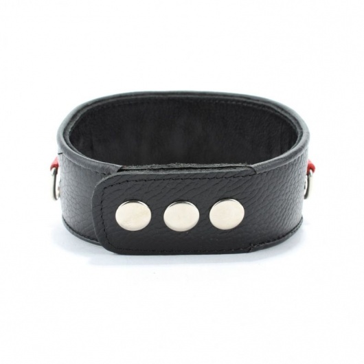 Кожаный ошейник с металлическими клепками - БДСМ Арсенал - купить с доставкой в Мытищах