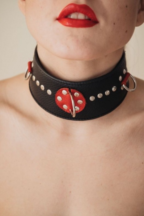 Кожаный ошейник с металлическими клепками - БДСМ Арсенал - купить с доставкой в Мытищах
