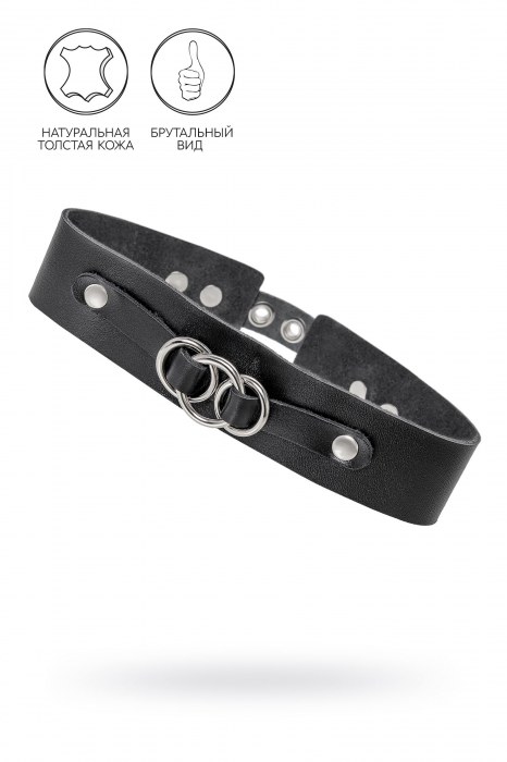 Черный чокер-ошейник со связанными кольцами на подложке - Pecado - купить с доставкой в Мытищах