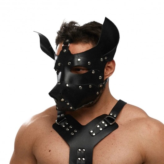 Черная кожаная маска «Собака» - Crazy Handmade - купить с доставкой в Мытищах