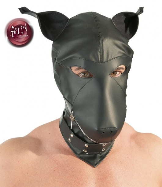 Шлем-маска Dog Mask в виде морды собаки - Orion - купить с доставкой в Мытищах