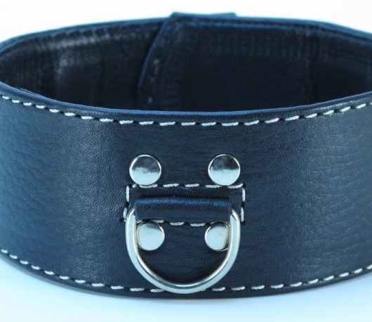 Черный кожаный ошейник с петлёй для поводка - БДСМ Арсенал - купить с доставкой в Мытищах