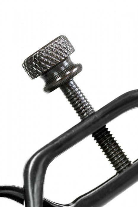 Черно-золотистые зажимы для сосков TOYFA Theatre - ToyFa - купить с доставкой в Мытищах