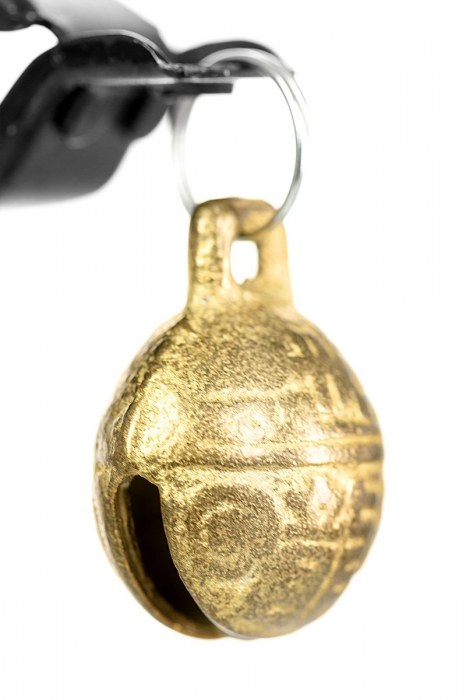 Черно-золотистые зажимы для сосков TOYFA Theatre - ToyFa - купить с доставкой в Мытищах