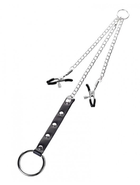 Серебристо-чёрные зажимы для сосков с кольцом для пениса TOYFA Metal - ToyFa - купить с доставкой в Мытищах